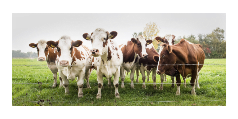 Untitled design (49)