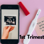 1st trimester pregnancy