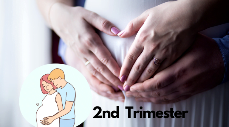 2nd trimester pregnancy