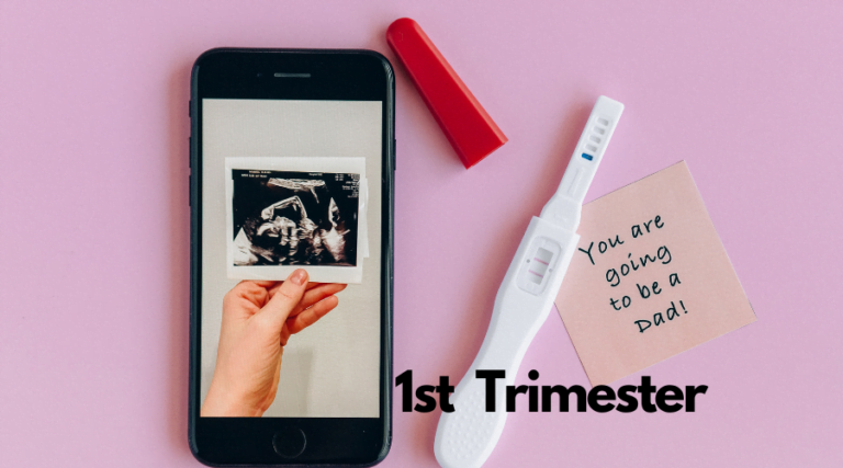 1st trimester pregnancy