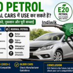 Can E20 petrol be used in normal petrol cars